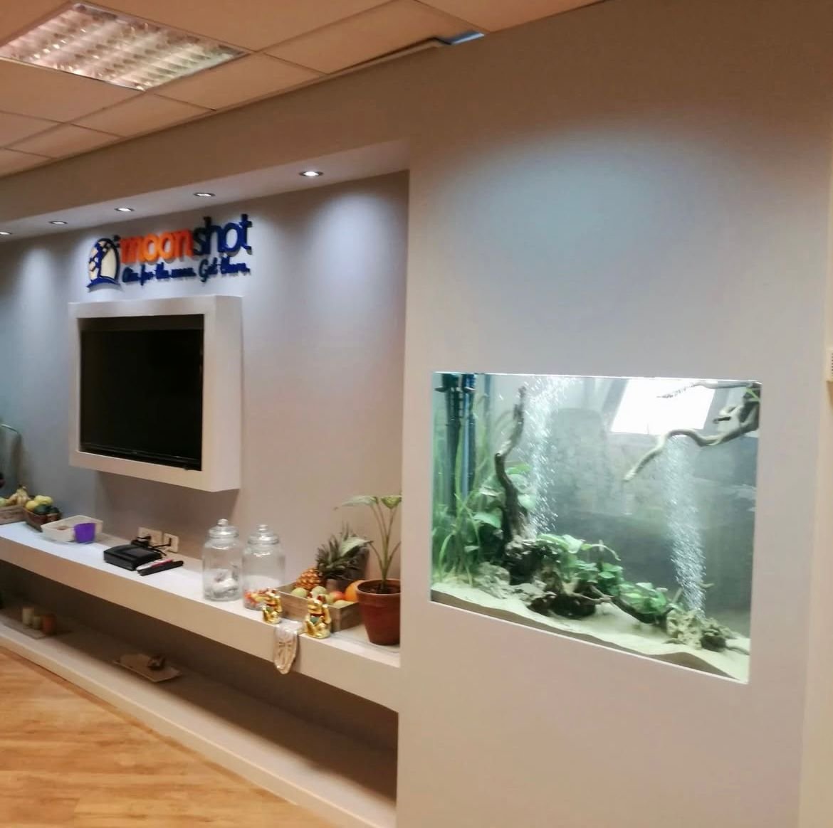 שיפוץ משרד היי-טק – חלוקה, תאורה ועבודות גמר